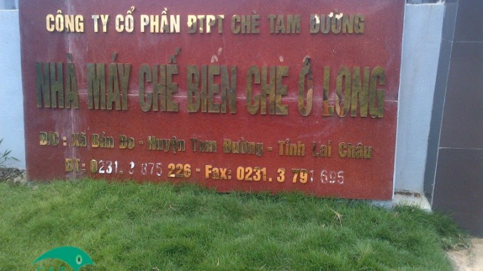bảo quản chè Ô long