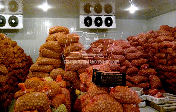 khoai-tay-giong