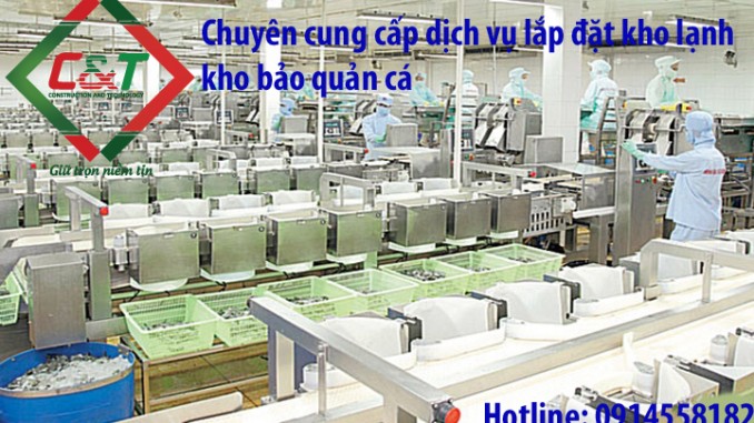 kho lạnh bảo quản cá kho lạnh bảo quản cá