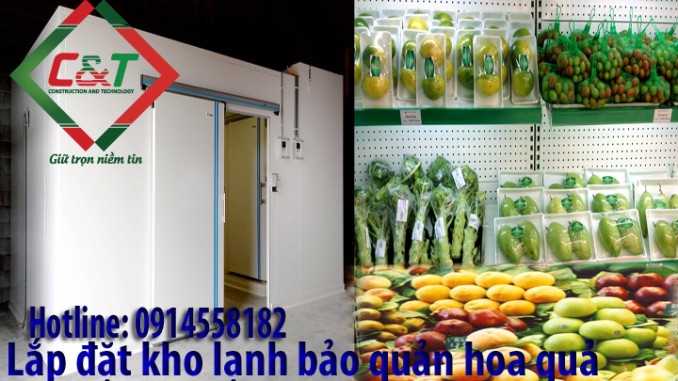 lắp đặt kho lạnh bảo quản hoa quả trái cây lắp đặt kho lạnh bảo quản hoa quả trái cây